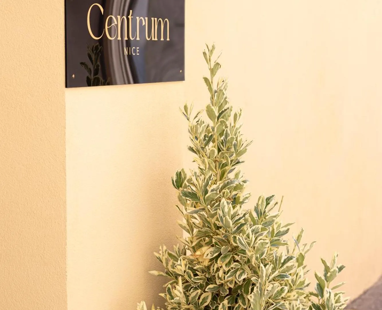 Centrum Ницца 0*,